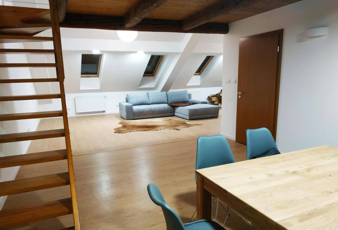 Apartament"Nad Niwka 6" Z Zamykanym Bezplatnym Parkingiem بييلسكو بياوا المظهر الخارجي الصورة
